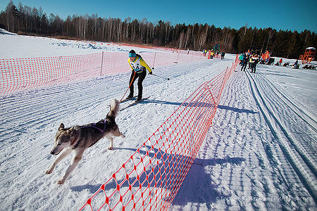 23.02.2020. Участница Чемпионата и Первенства Тюменской области по зимним видам ездового спорта со своей собакой породы хаски во время прохождения дистанции на базе отдыха «Пруд Лесной» в городе Тюмени. (Автор фото Наталья Горшкова)