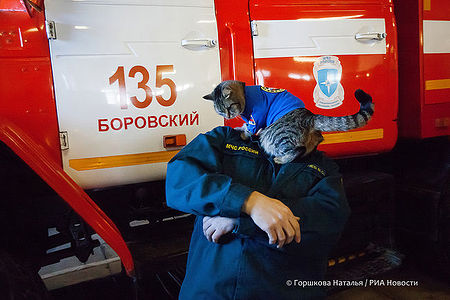 22.01.2022. Виталий Домрачев (начальник караула 135 ПСЧ) с котом Семёном в гараже боевых машин 135 ПСЧ. Поселок Боровский, Тюменский район. (Автор фото Наталья Горшкова)