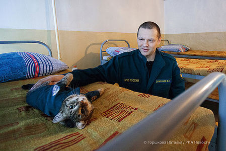 22.01.2022. Виталий Домрачев (начальник караула 135 ПСЧ) с котом Семёном. Любимое место отдыха кота. Караульное помещение 135 ПСЧ. Поселок Боровский, Тюменский район.
 (Автор фото Наталья Горшкова)
