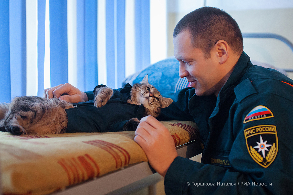 . Кот-пожарный. Без названия 22.01.2022. Виталий Домрачев (начальник караула 135 ПСЧ) с котом Семёном. Любимое место отдыха кота. Караульное помещение 135 ПСЧ. Поселок Боровский, Тюменский район.
(Автор фото Наталья Горшкова)