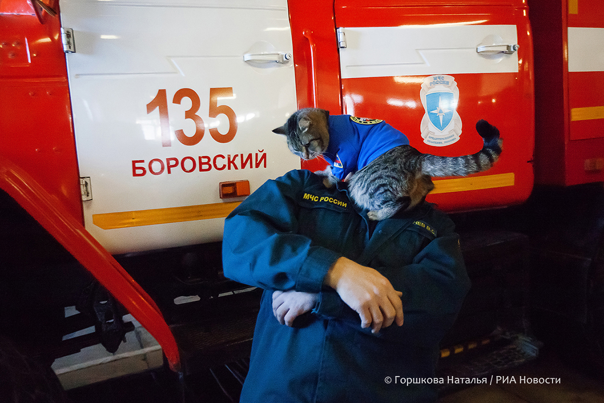 . Кот-пожарный. Без названия 22.01.2022. Виталий Домрачев (начальник караула 135 ПСЧ) с котом Семёном в гараже боевых машин 135 ПСЧ. Поселок Боровский, Тюменский район. (Автор фото Наталья Горшкова)