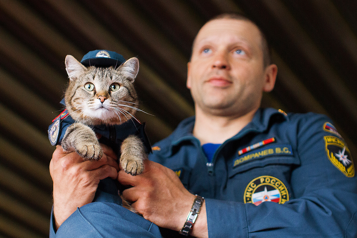 . Кот-пожарный. Без названия 09.04.2022. Виталий Домрачев (начальник караула 135 ПСЧ) с котом Семёном в гараже боевых машин 135 ПСЧ. Поселок Боровский, Тюменский район. (Автор фото Наталья Горшкова)